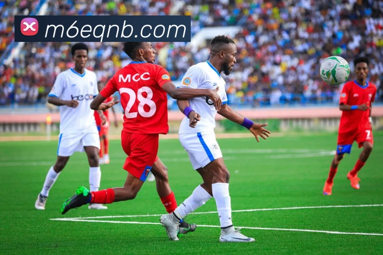 米乐m6平台生态图