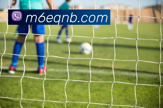 米乐m6APP 封面图